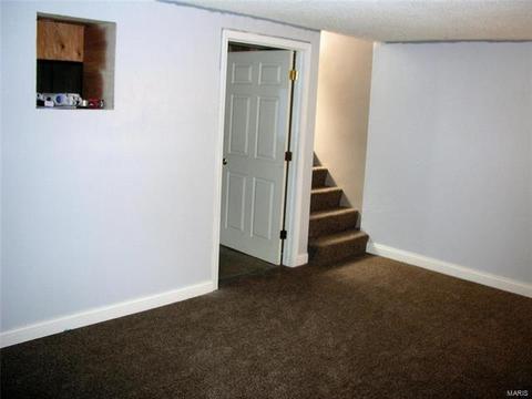 206 Mill Pond Dr, O'fallon, MO 63366 photo 13