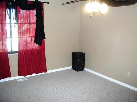 206 Mill Pond Dr, O'fallon, MO 63366 photo 9