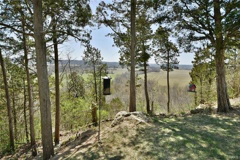 584 Bluffs Vw, Eureka, MO 63025 photo 42