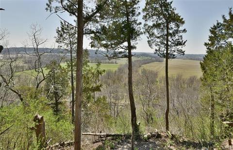 584 Bluffs Vw, Eureka, MO 63025 photo 4