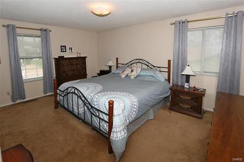 817 Justerini Dr, Ballwin, MO 63011 photo 11
