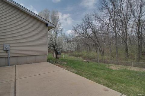 64 White Doe, Eureka, MO 63025 photo 23