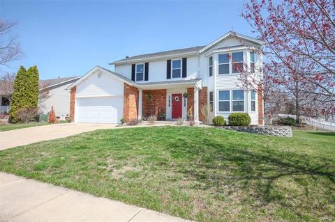 2730 Carters Grv, O'fallon, MO 63368 photo 37