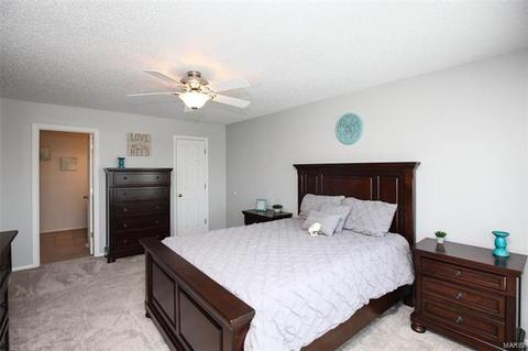 2730 Carters Grv, O'fallon, MO 63368 photo 25