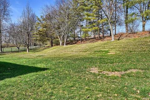 412 Iron Lantern Dr, Ballwin, MO 63011 photo 19