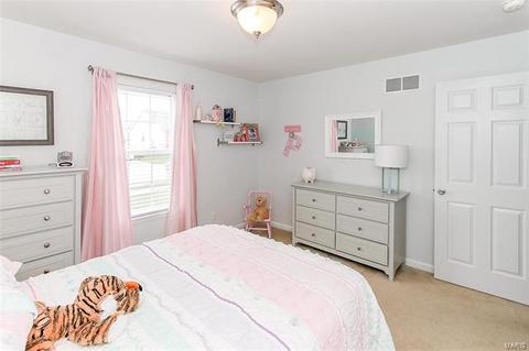 329 Thoreau Blvd, O'fallon, MO 63366 photo 26