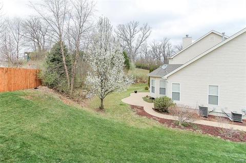 329 Thoreau Blvd, O'fallon, MO 63366 photo 34
