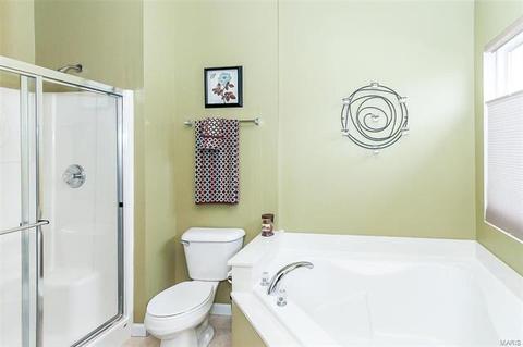 329 Thoreau Blvd, O'fallon, MO 63366 photo 23