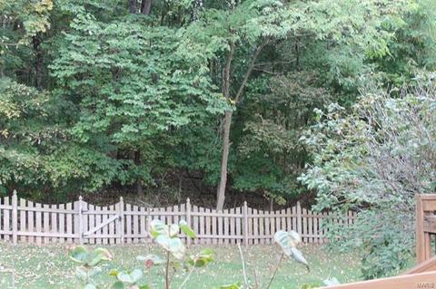 771 Legends View Dr, Eureka, MO 63025 photo 5
