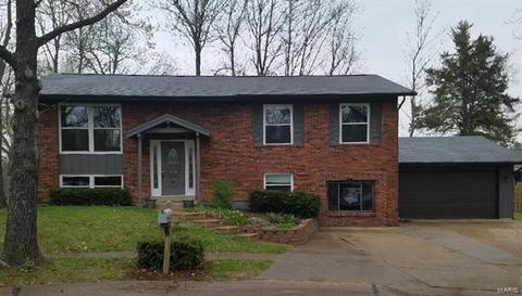 3 Braquewood Ct, Manchester, MO 63021 photo 1