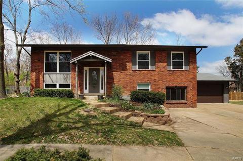3 Braquewood Ct, Manchester, MO 63021 photo 43