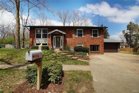 3 Braquewood Ct, Manchester, MO 63021 photo 44