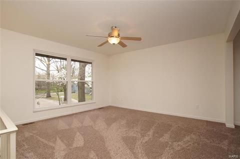 3 Braquewood Ct, Manchester, MO 63021 photo 10