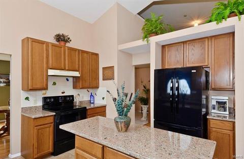637 Canary Estates Dr, Manchester, MO 63021 photo 13