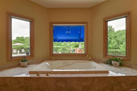 403 Thorntree Lake Ct, Eureka, MO 63025 photo 36