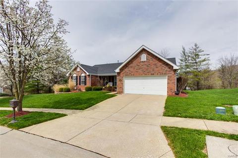 16435 Prestwick Place Ln, Wildwood, MO 63011 photo 3