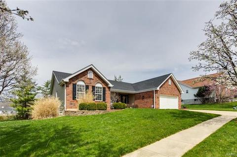 16435 Prestwick Place Ln, Wildwood, MO 63011 photo 4