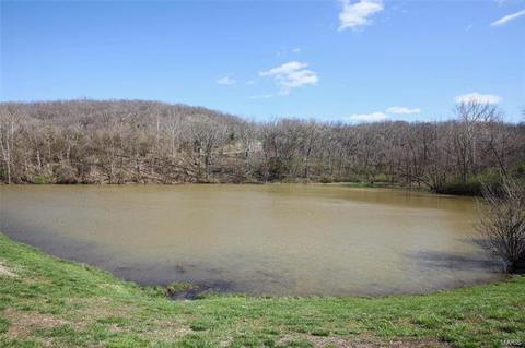 18 Muir, Eureka, MO 63025 photo 39
