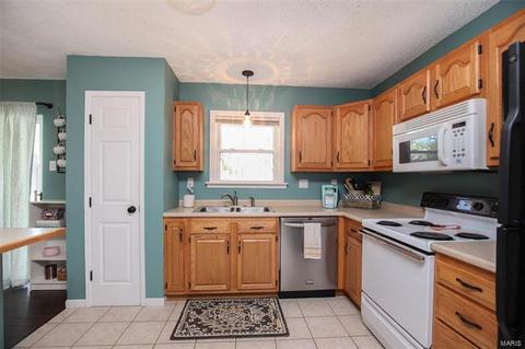 18 Muir, Eureka, MO 63025 photo 13