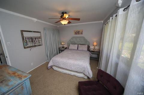 813 Brookvale, Manchester, MO 63021 photo 8