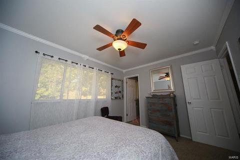 813 Brookvale, Manchester, MO 63021 photo 7