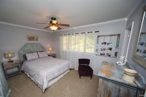 813 Brookvale, Manchester, MO 63021 photo 6