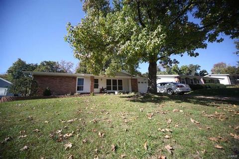 813 Brookvale, Manchester, MO 63021 photo 1