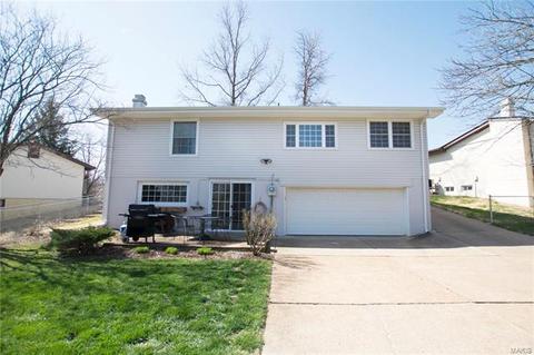 671 Cedar Run Dr, Ballwin, MO 63021 photo 20