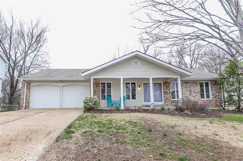 987 Century Oaks Dr, Manchester, MO 63021 photo 1