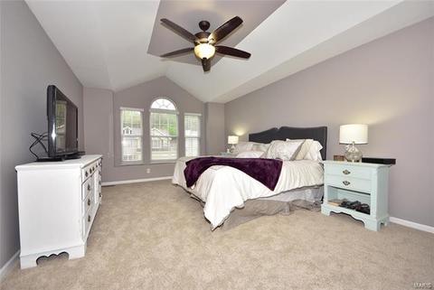 869 Kiefer Trl, Ballwin, MO 63021 photo 19