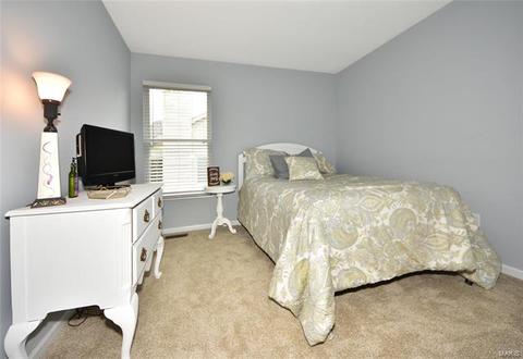 869 Kiefer Trl, Ballwin, MO 63021 photo 27