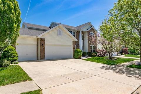 471 Madrina Ct, Ballwin, MO 63021 photo 48