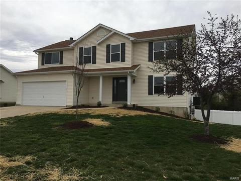 546 Duke William Ct, O'fallon, MO 63366 photo 33