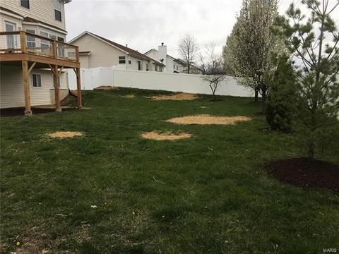 546 Duke William Ct, O'fallon, MO 63366 photo 31