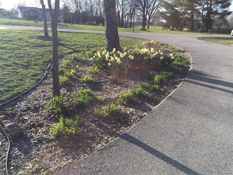 3 Spring Ct, O'fallon, MO 63366 photo 27