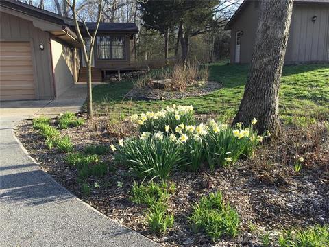 3 Spring Ct, O'fallon, MO 63366 photo 13