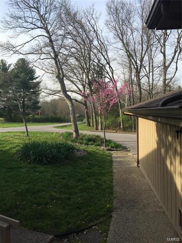 3 Spring Ct, O'fallon, MO 63366 photo 15