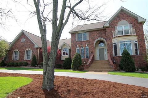 1069 Whitmoor Dr, Weldon Spring, MO 63304 photo 57