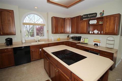 1069 Whitmoor Dr, Weldon Spring, MO 63304 photo 8