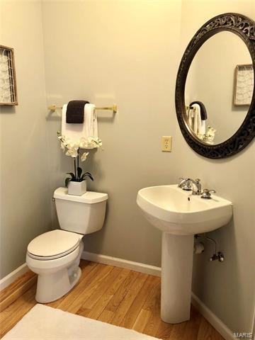 650 Grand View Ridge Ct, Eureka, MO 63025 photo 21