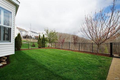 1004 Stone Spring Ct, Eureka, MO 63025 photo 46