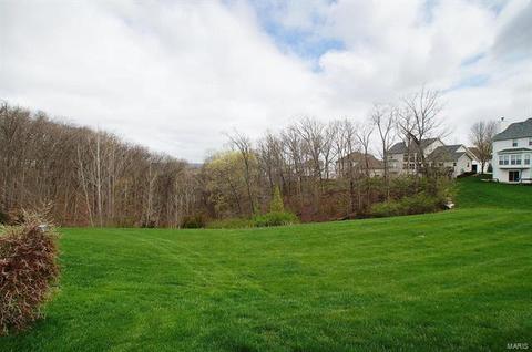 1004 Stone Spring Ct, Eureka, MO 63025 photo 50