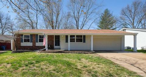 214 Bitterwood Dr, Ballwin, MO 63021 photo 42