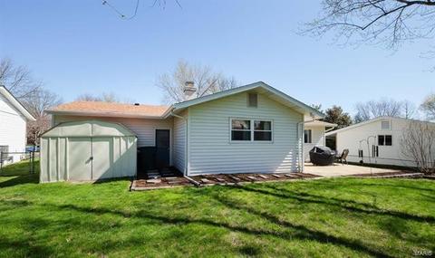 214 Bitterwood Dr, Ballwin, MO 63021 photo 39