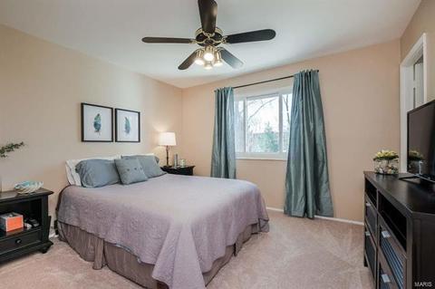 214 Bitterwood Dr, Ballwin, MO 63021 photo 23