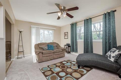 214 Bitterwood Dr, Ballwin, MO 63021 photo 14