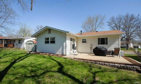 214 Bitterwood Dr, Ballwin, MO 63021 photo 37