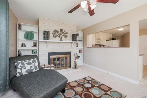 214 Bitterwood Dr, Ballwin, MO 63021 photo 13