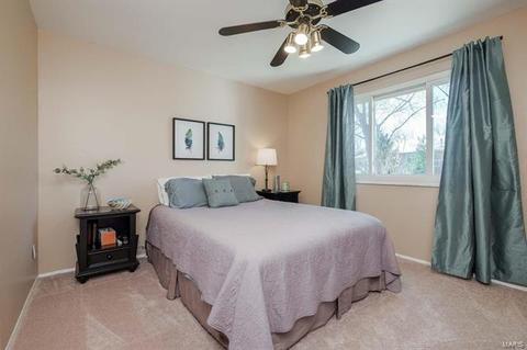 214 Bitterwood Dr, Ballwin, MO 63021 photo 22
