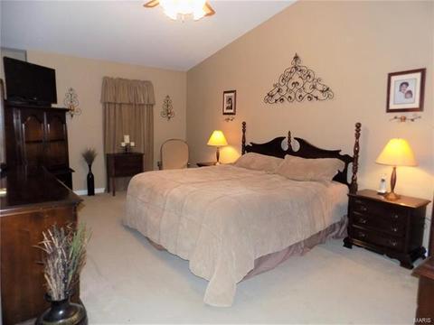 806 Reindeer Dr, Manchester, MO 63021 photo 20
